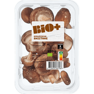 Bio+ Shii take per bak