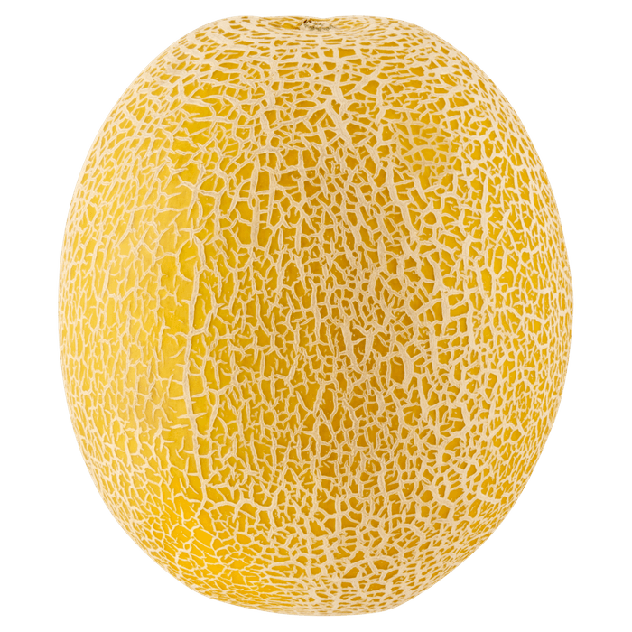 Galia meloen
