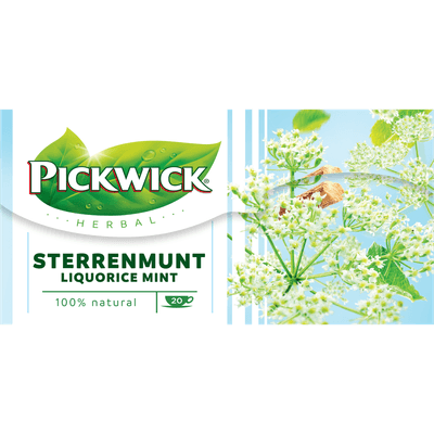 Pickwick Sterrenmunt kruiden thee