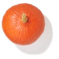 Oranje pompoen Holland