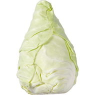 DekaVers Bio spitskool