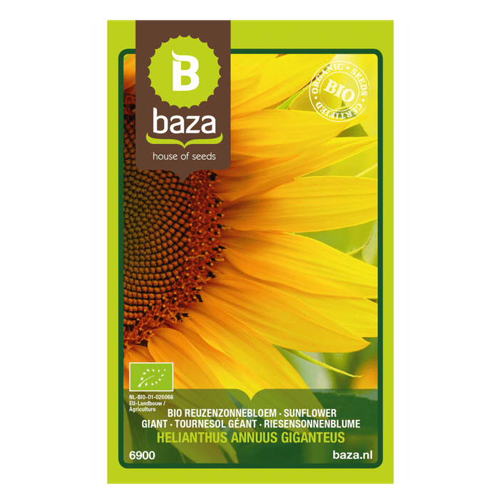 Baza zaden bloemen