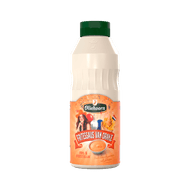 Oliehoorn Fritessaus oranje