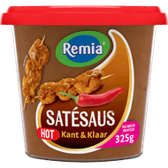 Remia Satesaus kant en klaar hot
