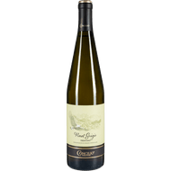 Concilio Pinot grigio trentino