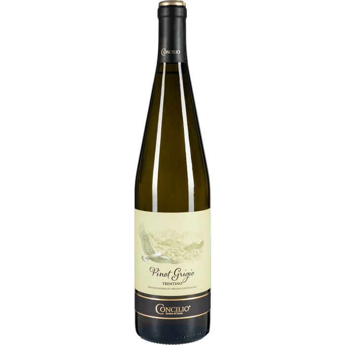 Concilio Pinot grigio trentino