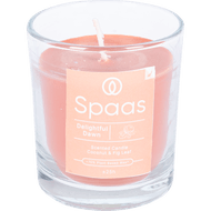 Spaas Geurkaars in glas coconut & fig leaf
