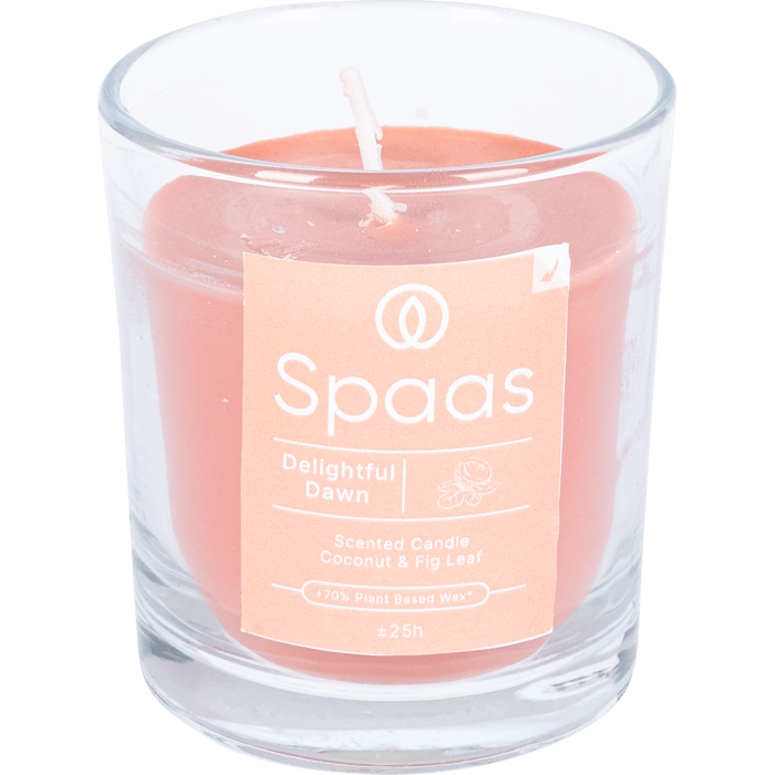 Spaas Geurkaars in glas coconut & fig leaf