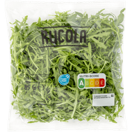 Rucola