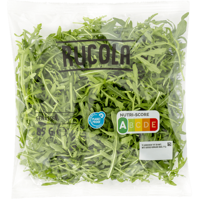 Rucola