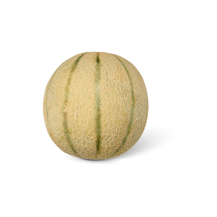 Cantaloupe meloen