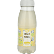 Fruity Juice Lemonade citroen-limoen-gember