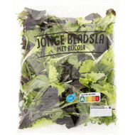 Jonge bladsla met rucola