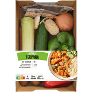 Verspakket Teriyaki Japans