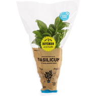 Buijsman Basilicum met kluit