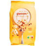 G'woon Krokante muesli multi vruchten