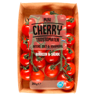 Mini cherry trostomaatjes