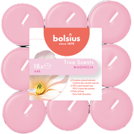 Bolsius Geurtheelichten magnolia