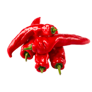 Puntpaprika rood