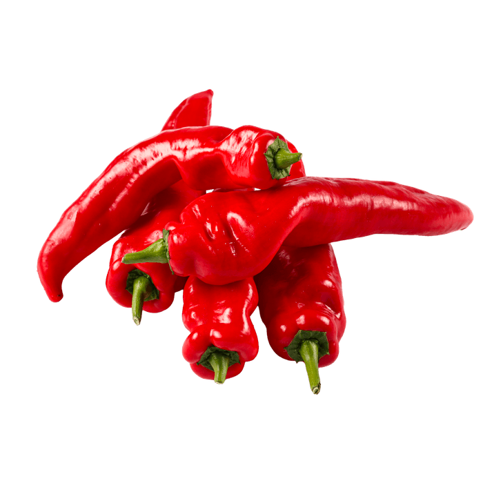 Puntpaprika rood