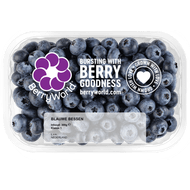 Blauwe bessen schaal