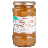 Ambition Chinese stemgember