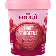 FRUUJI Fruit sorbetijs framboos