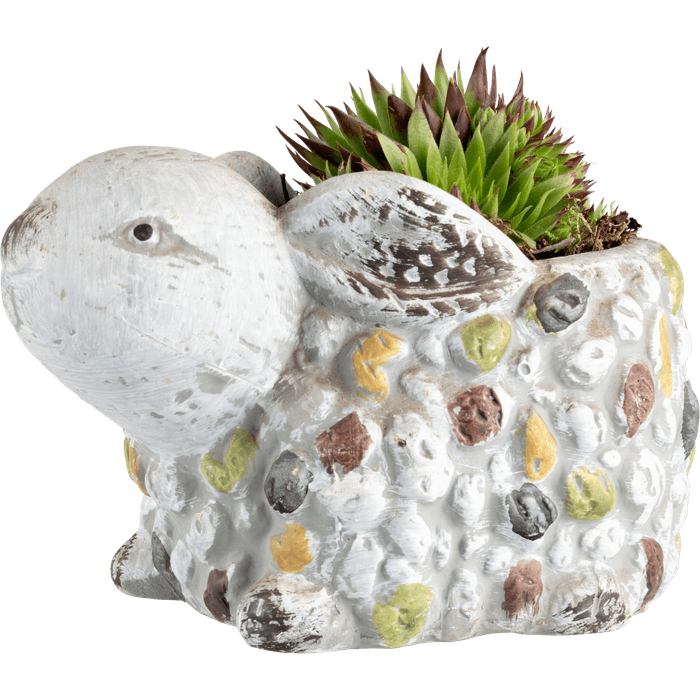 Arrangement stenen dier