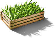 Sperziebonen