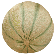 Cantaloupe meloen
