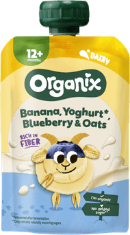 Organix Fruitpuree ban yogh blueb&oat 12+maanden