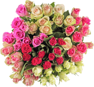 Rozen