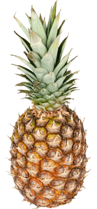 Del Monte Honeyglow ananas costa rica