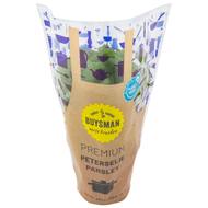 Platte peterselie grote pot