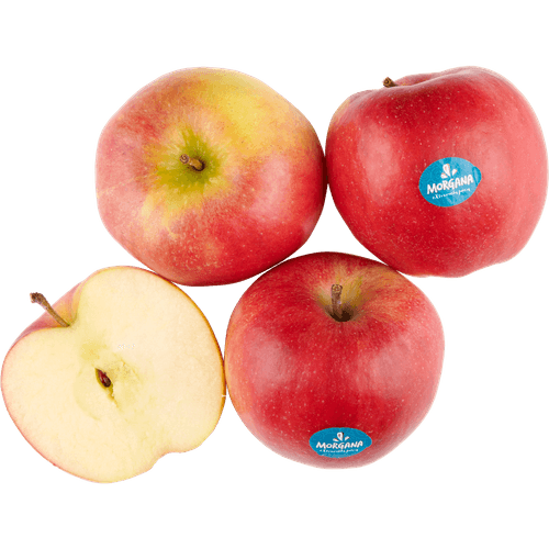 Foto van Morgana op witte achtergrond