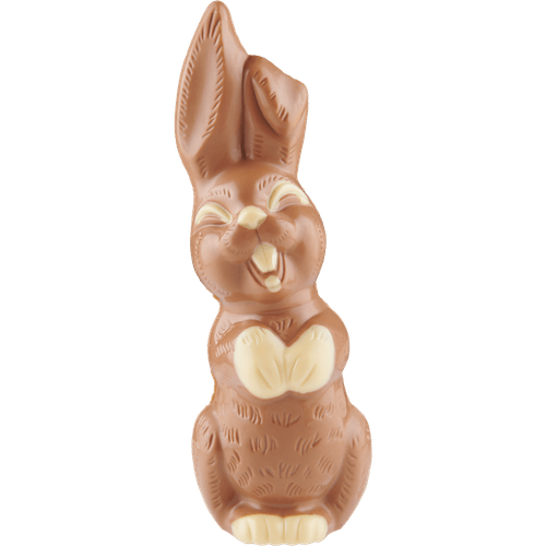 Foto van Le Chocaleur Lachhaas klein op witte achtergrond