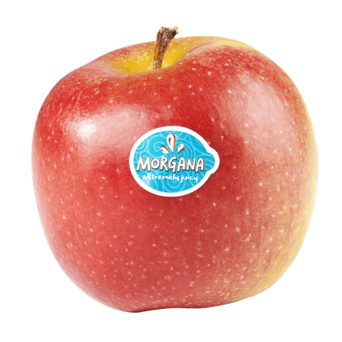 Foto van Morgana op witte achtergrond