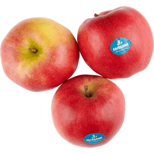 Foto van Morgana op witte achtergrond