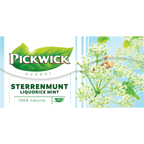 Foto van Pickwick Sterrenmunt kruiden thee op witte achtergrond
