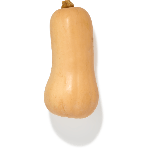 Foto van Flespompoen op witte achtergrond