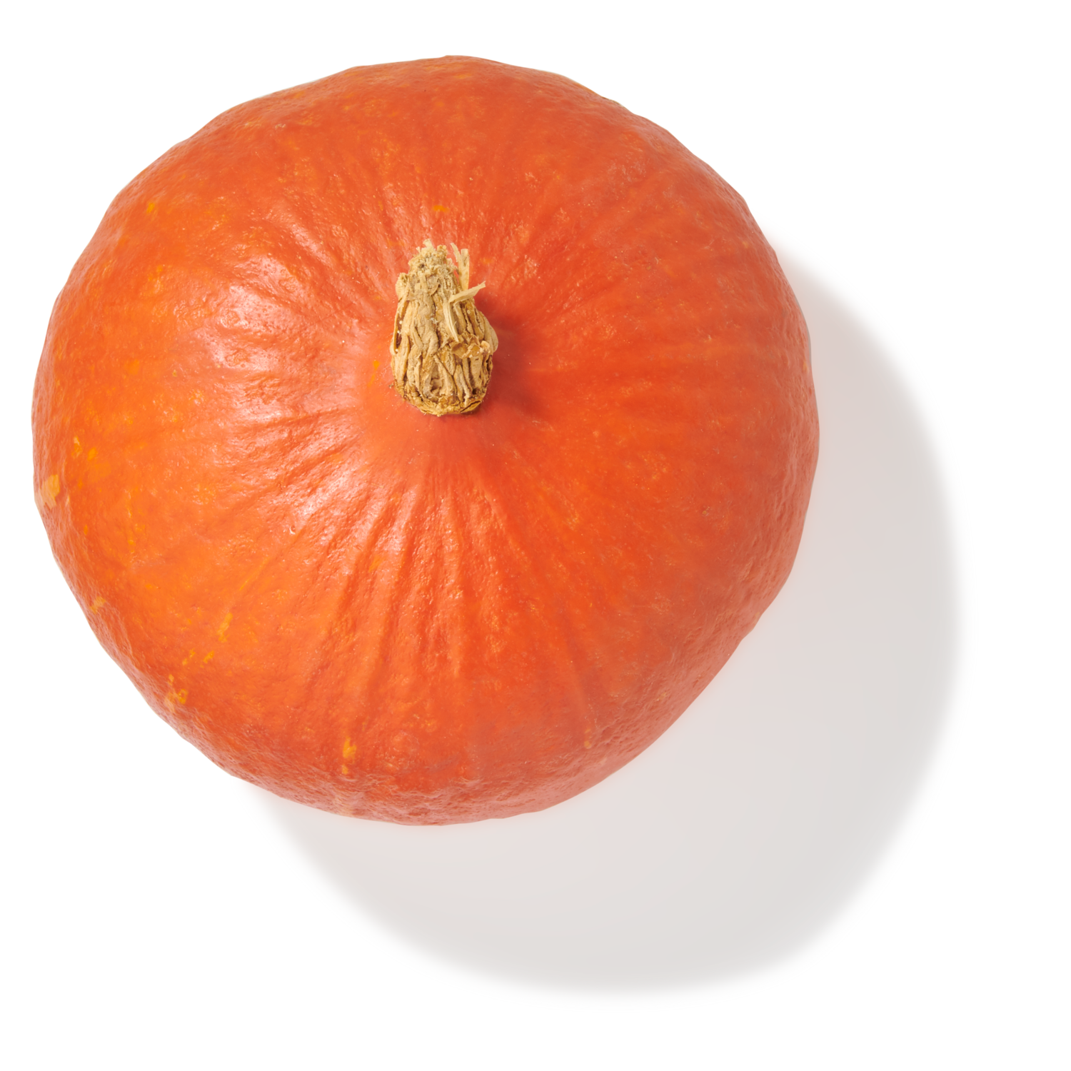 Oranje pompoen Holland