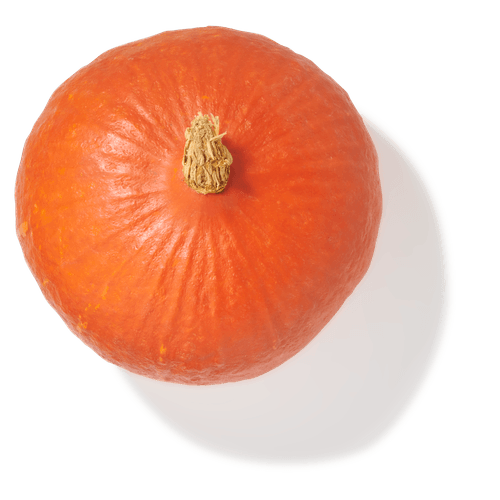 Foto van Oranje pompoen Holland op witte achtergrond