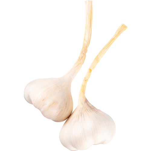 Foto van Verse knoflook op witte achtergrond