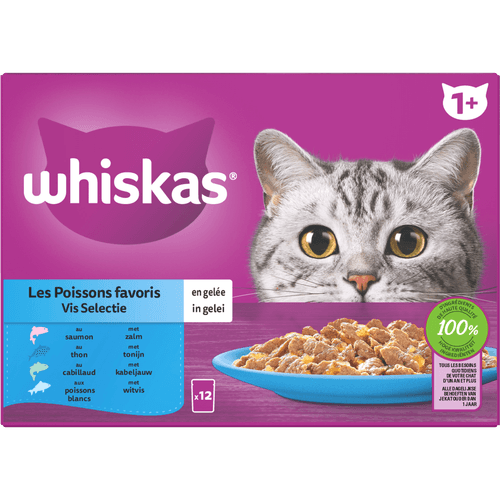 Foto van Whiskas Kattenvoer vis selectie gelei  1+ jaar op witte achtergrond