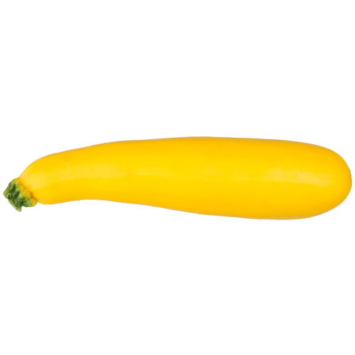Foto van Hollandse Gele courgette op witte achtergrond