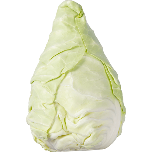 Foto van DekaVers Bio spitskool op witte achtergrond