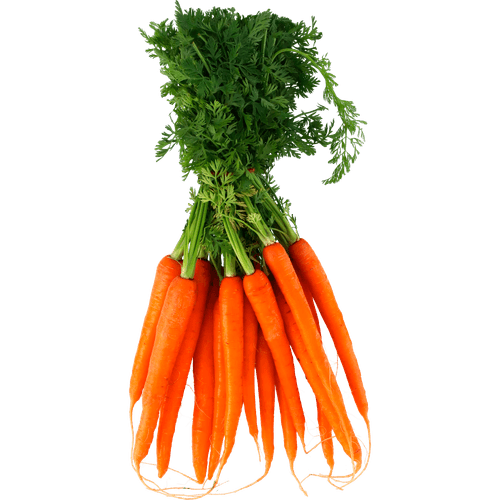 Foto van Bospeen op witte achtergrond