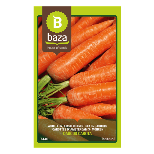 Foto van Zaden groente op witte achtergrond