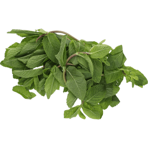 Foto van Munt op witte achtergrond