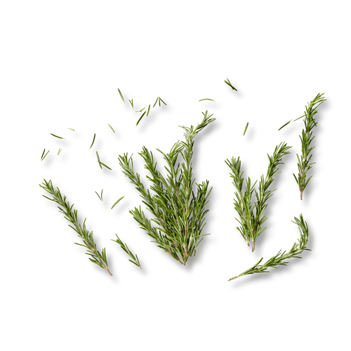 Foto van Rozemarijn op witte achtergrond